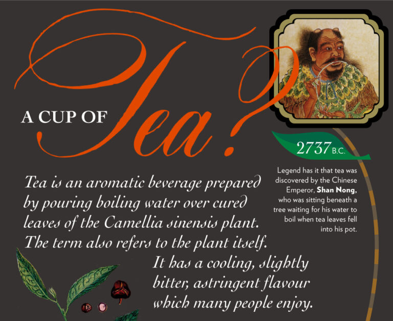 Two for Tea: an Infographic Makeover